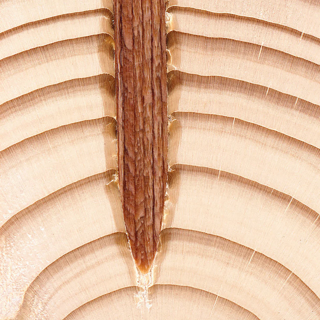 Collated_wooden_nail_construction_1.webp